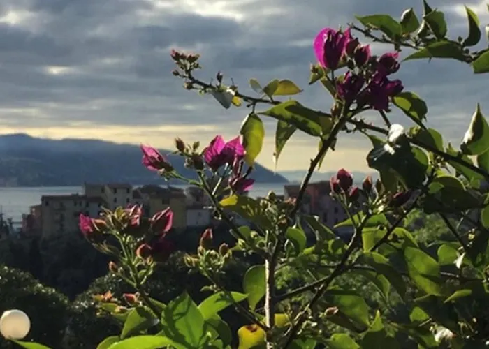 Yono Апартаменты *